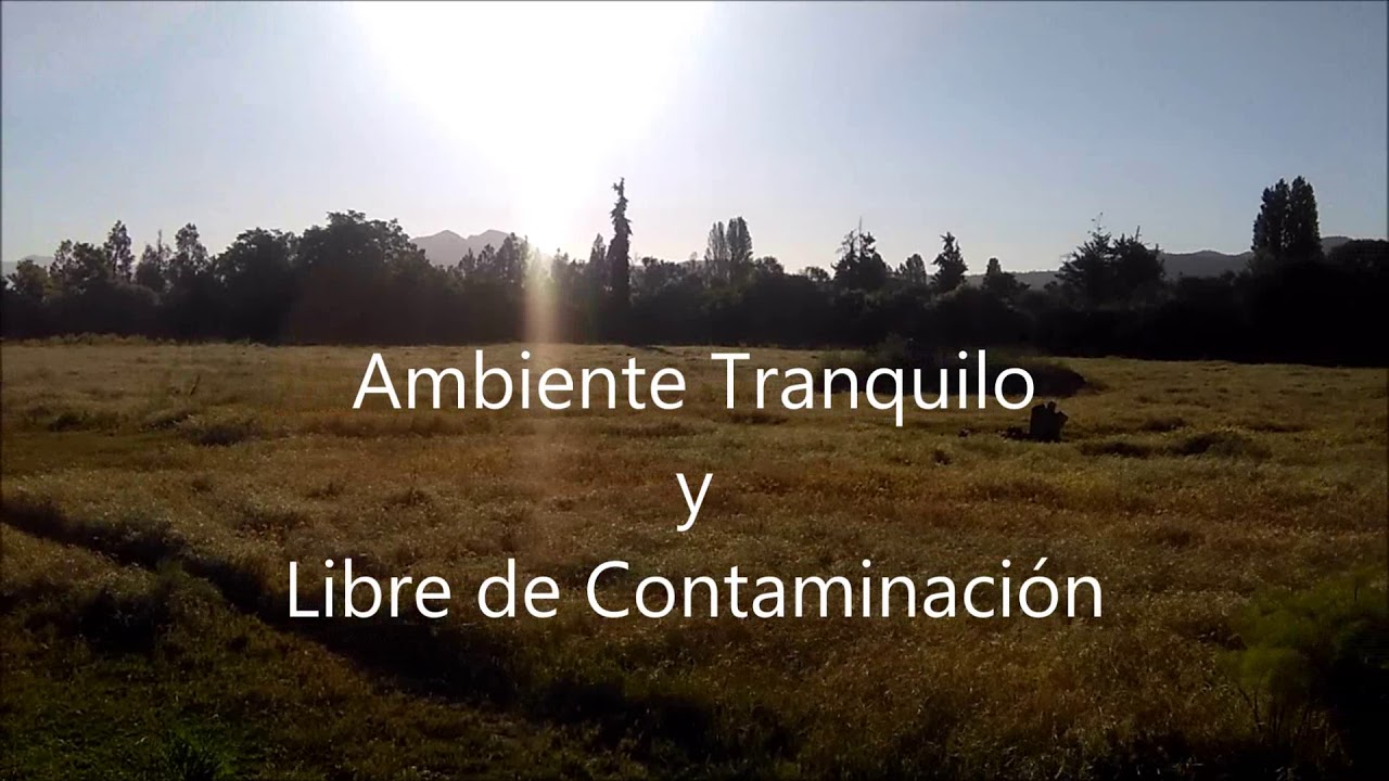 Venta Terreno 35000 m2 para Desarrollo inmobiliario Buin, Santiago.